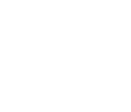mandarin exporters logo 2