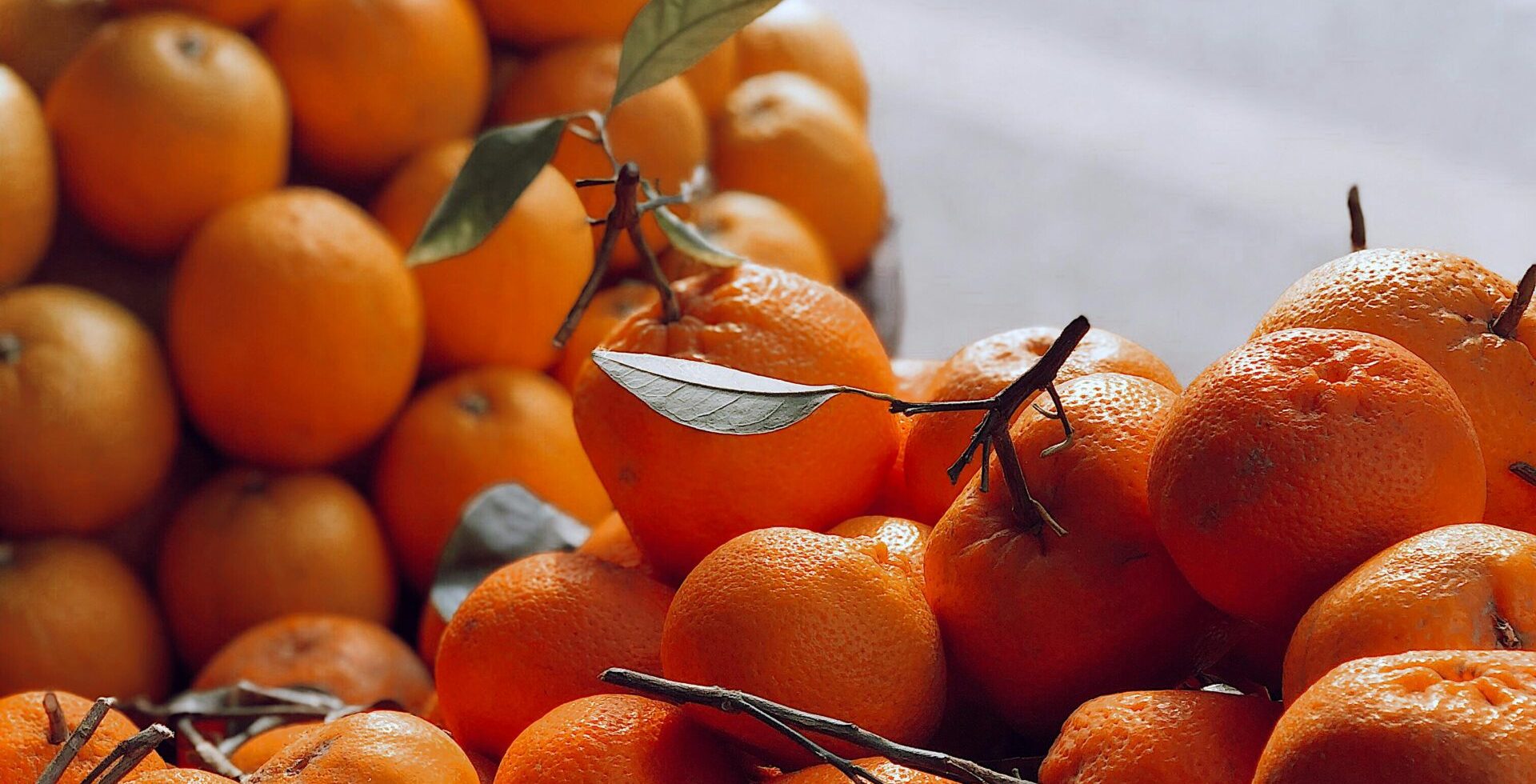 Vibrant display of fresh oranges and tangerines in natural light.